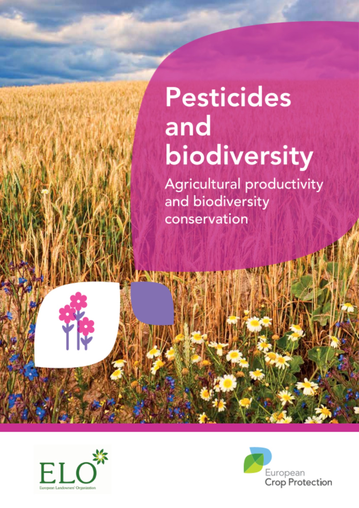 Preview Image Preview Image